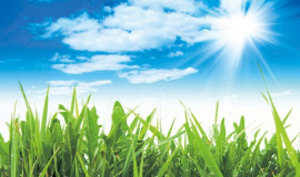 사역자를 위한 기도