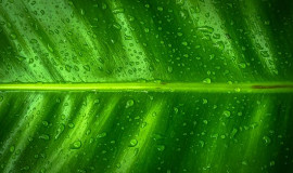 이기심 때문에 응답 받지 못하는 기도